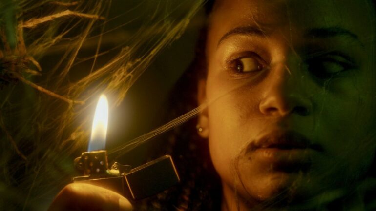 [Critique] « Vermines (Infested) » : lorsqu’arachnophobie rime avec cinéphilie